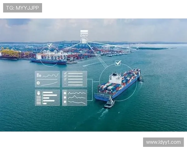 上海海港发展新机遇：推动国际贸易与航运物流转型升级